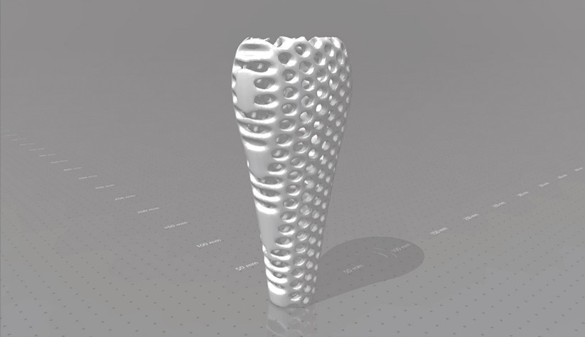 Figura 8. Deformación topológica diagramas de Voronoi. Se empleó Autodesk Meshmixer 2018. Fuente: elaboración propia.